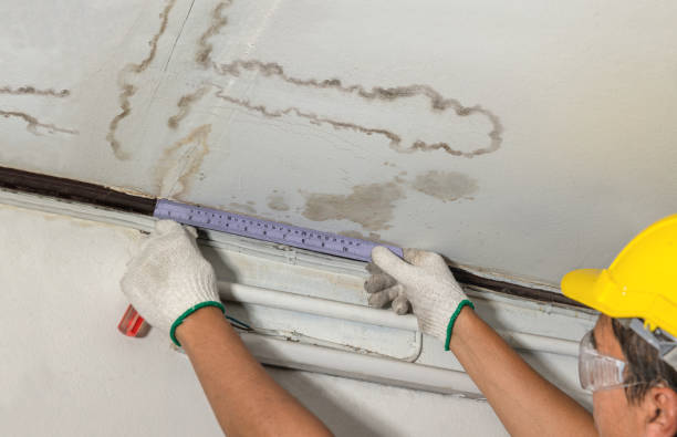 Reliable Flood Cleanup contractor in Fraser, MI by Water Damage Irwin